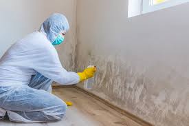 Best Crawl Space Mold Remediation  in Tolono, IL