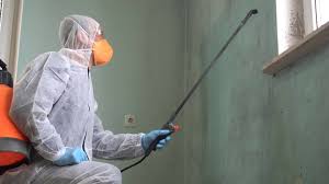 Best Residential Mold Inspection & Testing  in Tolono, IL