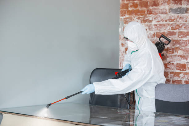 Best Comprehensive Air Testing for Mold Contaminants  in Tolono, IL